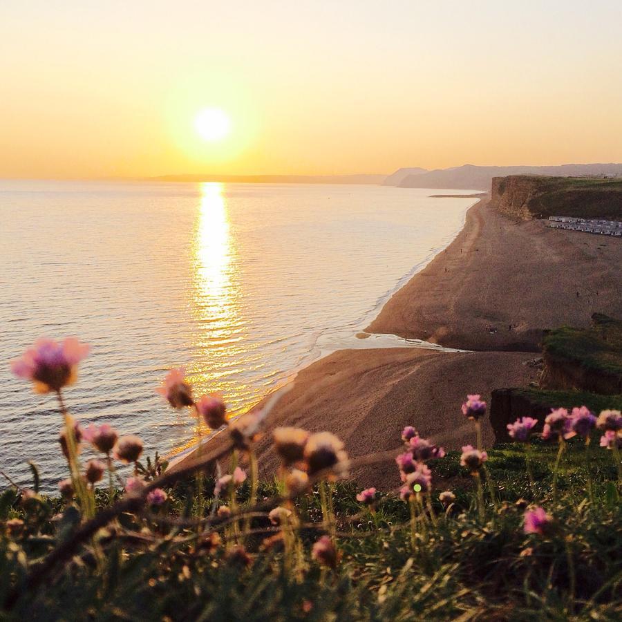 The Seaside Boarding House Hotel Burton Bradstock Bagian luar foto